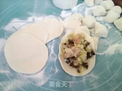 Make Chicken cabbage dumpling step 7