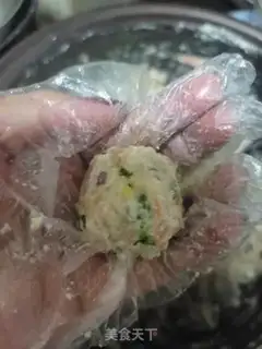 Make Tofuballs step 6