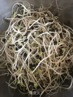Make Paprika sprouts step 0