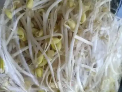 Make Soybean sprouts step 0