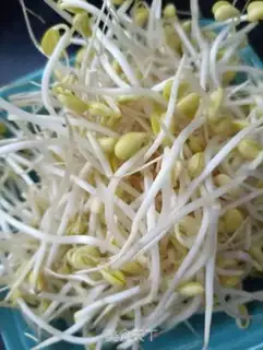 Make Soybean sprouts step 1