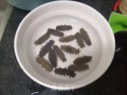 Make Bubble sea cucumber step 0