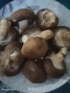 Make Mushroom oil step 0