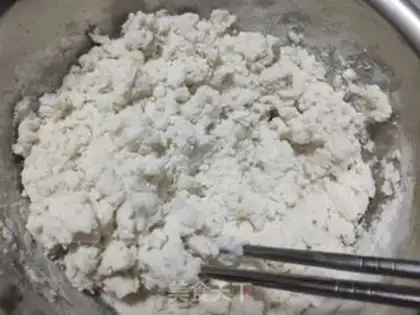 Make No-nucleus-paste step 9
