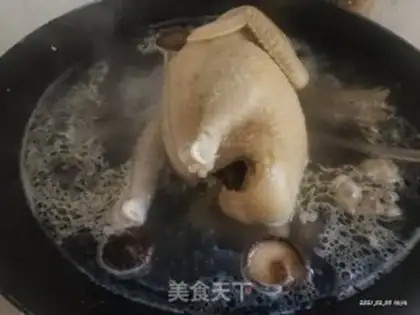 Make White pheasant step 1