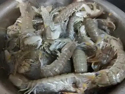 Make Shrimp step 1