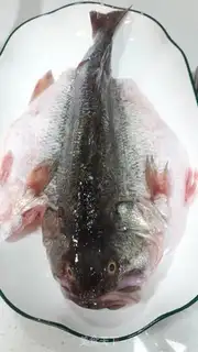 Make Steamfish step 2