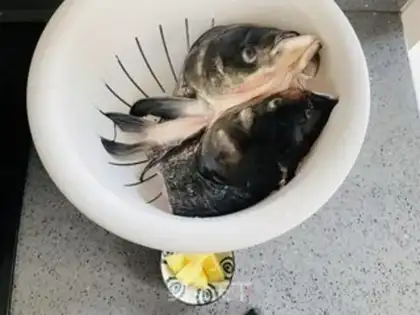 Make Fish tofu soup step 0