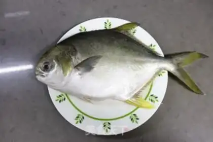 Make Red-burned goldfish step 0