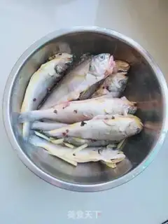Make Scumbag yellowfish step 1