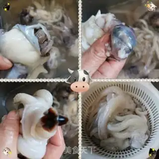 Make Squid dry pot step 0