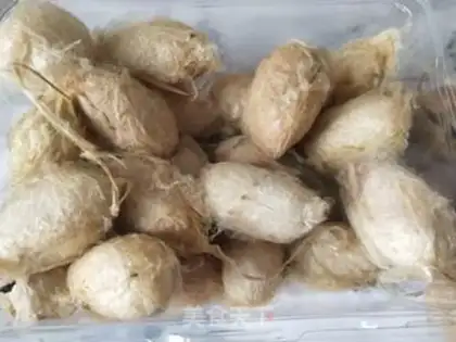 Make Dry ricin step 0
