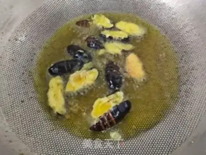 Make Dry ricin step 4