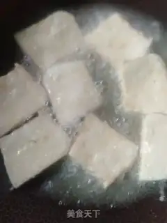 Make Tofu step 5