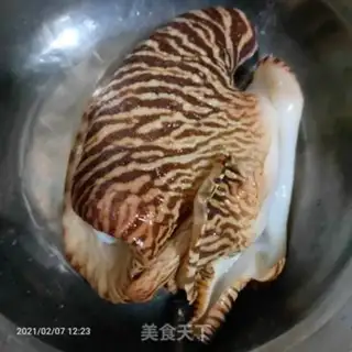 Make Red Snail step 1
