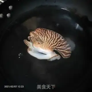Make Red Snail step 2