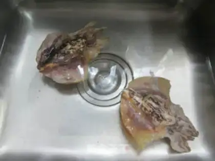 Make Squirts make the cabbage step 1