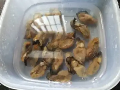 Make Squirt abalone and sea cucumber step 2