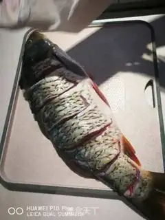 Make Jealous carp step 5