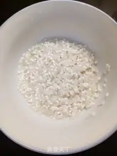 Make Squid step 0