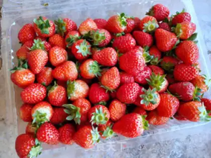 Make Strawberry Dafu step 0