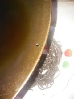 Make Frozen root powder step 7