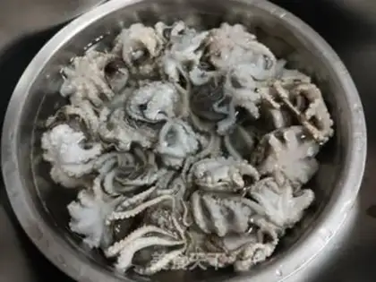 Make The octopus step 0
