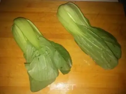 Make Cornfish step 17