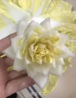 Make Scorch step 4