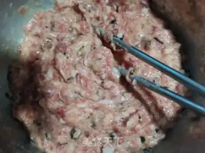 Make The dumplings step 2
