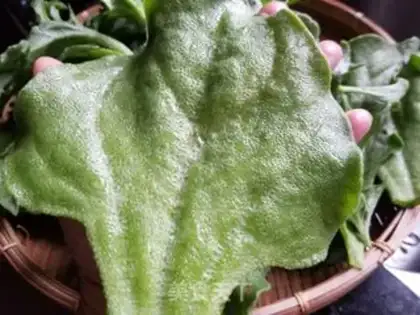 Make Ice salad step 1