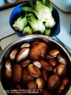 Make The mushrooms and roses step 0