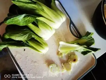 Make The mushrooms and roses step 2