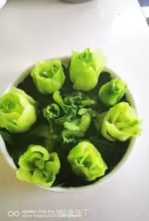Make The mushrooms and roses step 10