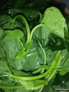 Make Potato leaves soup step 0