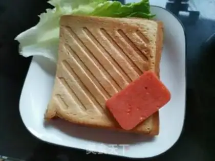 Make A sandwich step 16
