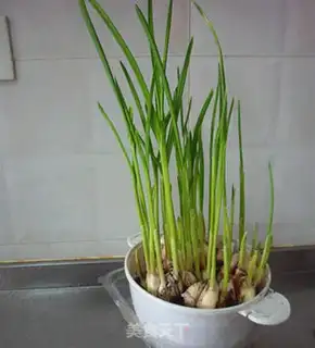 Make Garlic fried eggs step 0