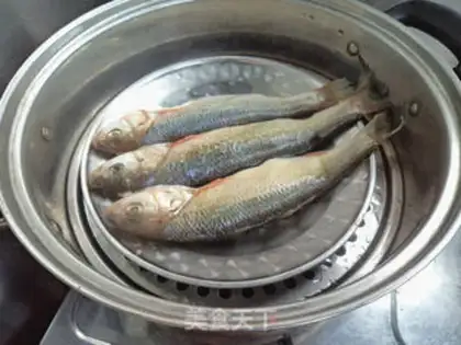 Make Vacuate fish step 3