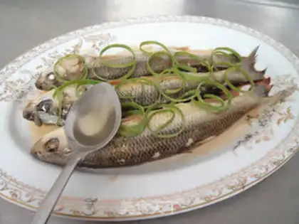 Make Vacuate fish step 6