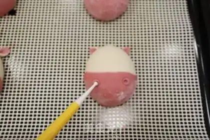 Make Buffalo step 16