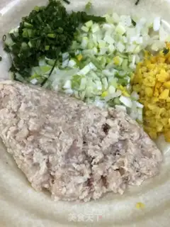 Make Chicken meatballs step 0