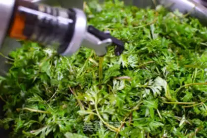 Make Steam seed step 2