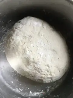 Make Roach beef-water fried dumplings step 2