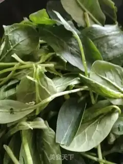 Make Spinach step 0