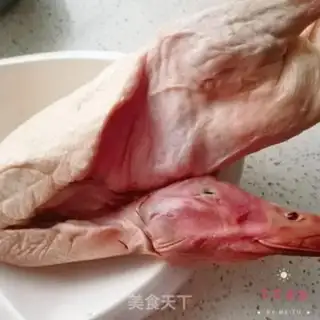 Make Duck step 0