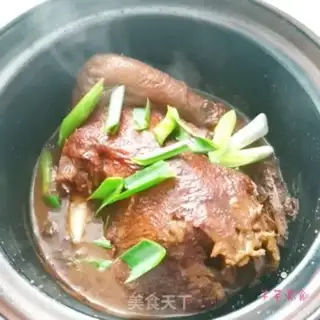 Make Duck step 10