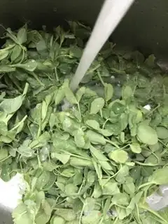 Make Pea-pooh step 1