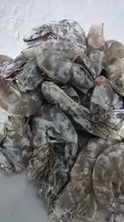 Make Dry shrimp step 0