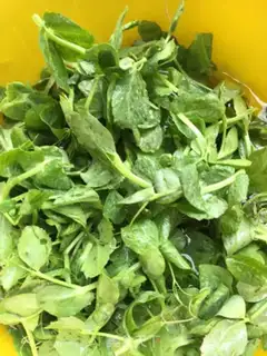 Make Chicken soup, peas step 10