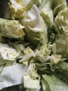 Make Round cabbage step 0